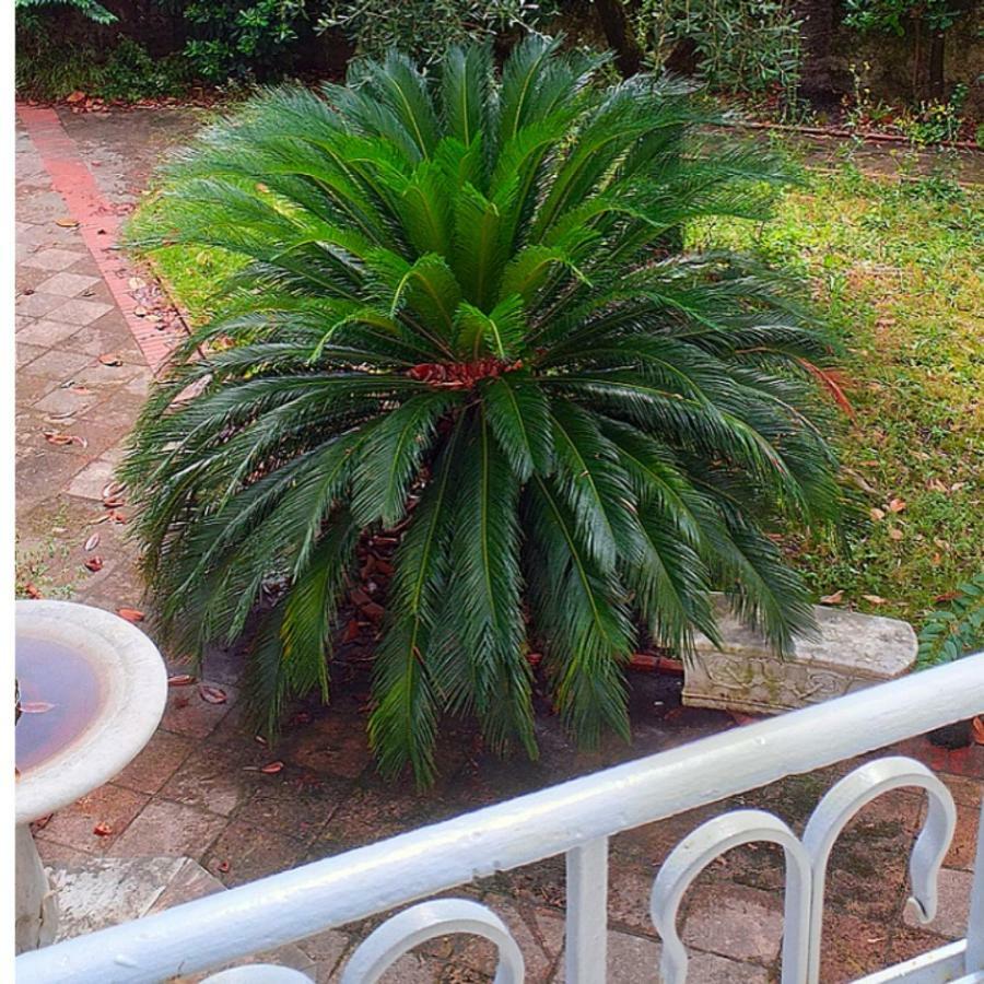 Appartement Un Giardino A Due Passi Dal Mare à La Spezia Extérieur photo