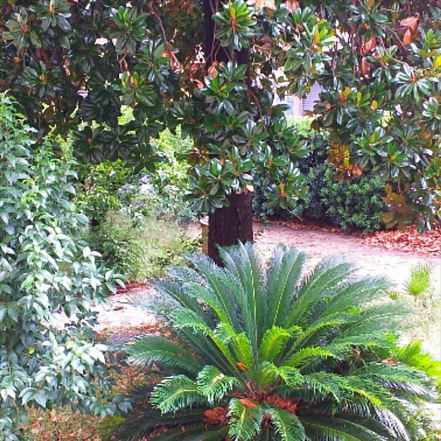 Appartement Un Giardino A Due Passi Dal Mare à La Spezia Extérieur photo