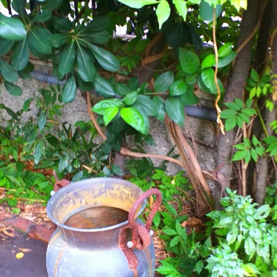 Appartement Un Giardino A Due Passi Dal Mare à La Spezia Extérieur photo